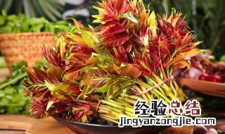香椿可以放冰箱冷藏吗 香椿能放冰箱冷冻吗