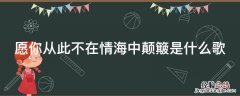 愿你从此不在情海中颠簸是什么歌名 愿你从此不在情海中颠簸是什么歌