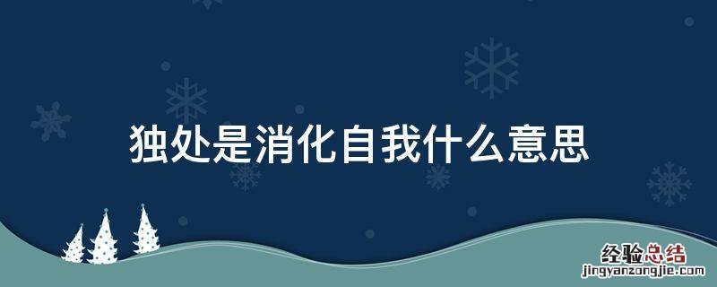 孤独是消化自我 独处是消化自我什么意思