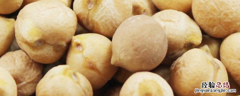 天麻豆与鹰嘴豆的区别 天麻子豆与鹰嘴豆怎么区别
