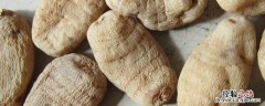 野生天麻和种植天麻 天麻野生与种植的区别