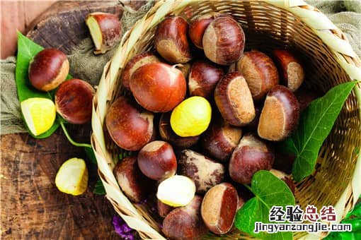 冬天吃什么食物最好 冬天吃什么食物最好养生