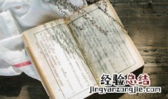 中国历史上有没有姓谢的皇帝