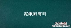 泥鳅耐热吗 泥鳅耐寒吗
