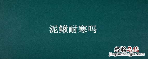 泥鳅耐热吗 泥鳅耐寒吗