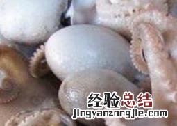 八带鱼的功效与作用 八带鱼的功效与作用图片