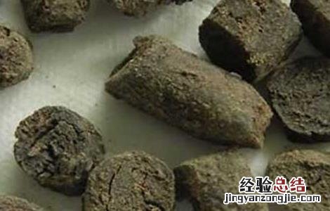 天南星的炮制方法 天南星的炮制方法是
