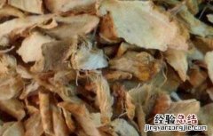 盐知母的功效与作用的功能与主治与用量 盐知母的功效与作用