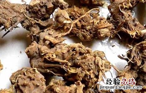 川射干的功效与作用点的功效与作用 川射干的功效与作用