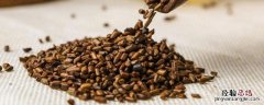 决明子是什么植物的果实图片 决明子是什么植物的果实
