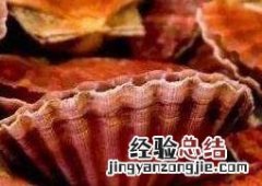 海虹贝的营养价值 海鲜红贝的功效与作用
