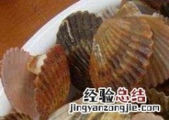 扇贝的营养价值及功效 扇贝的营养价值及功效禁忌