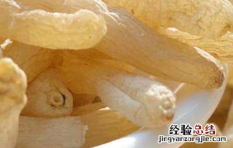 麦冬的副作用太大了冬瓜的作用是什么 麦冬的副作用