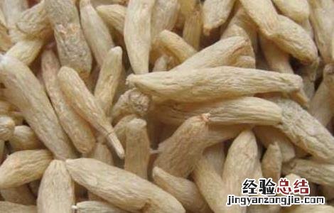 麦冬的副作用太大了冬瓜的作用是什么 麦冬的副作用