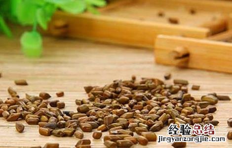 决明子茶的功效与作用及禁忌 决明子茶的功效与作用