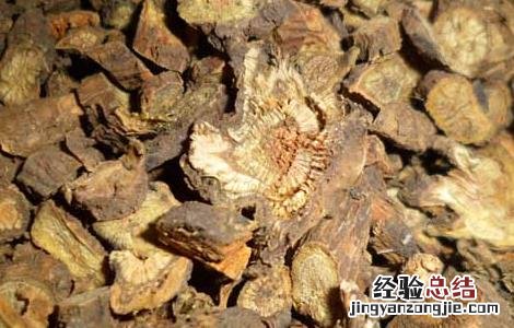 黄芩的炮制方法 黄芩的炮制方法有哪些