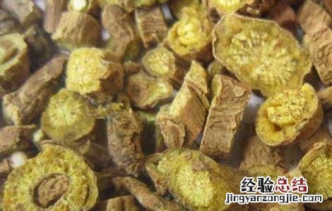 黄芩泡水喝的功效 黄芪黄精黄芩泡水喝的功效