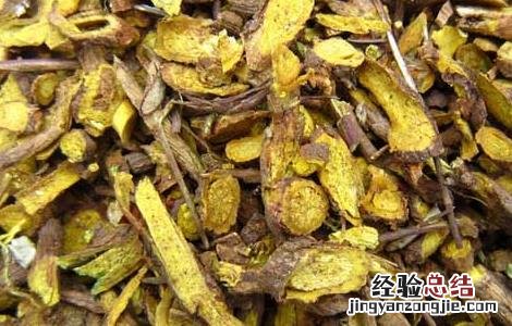 黄芩泡水喝的功效 黄芪黄精黄芩泡水喝的功效