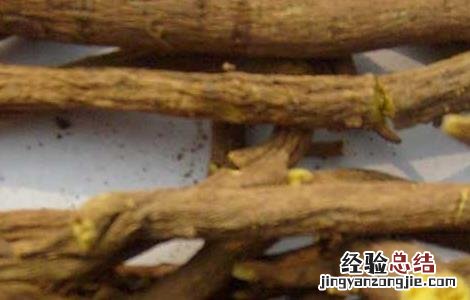 黄芩泡水喝的功效 黄芪黄精黄芩泡水喝的功效