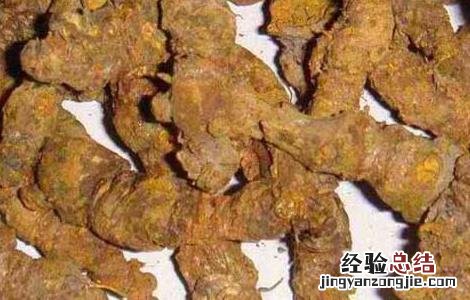 黄连的炮制方法及炮制作用 黄连的炮制方法
