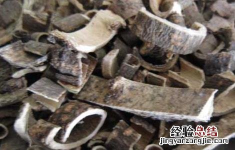 合欢皮的功效与作用 合欢皮的功效与作用主要治什么病