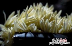 白兰花精油的功效和用法视频 白兰花精油的功效和用法