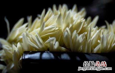 白兰花精油的功效和用法视频 白兰花精油的功效和用法
