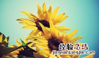 一句话早安心语最新 一句话早安心语最新版