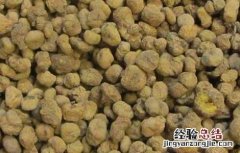 延胡索的炮制方法