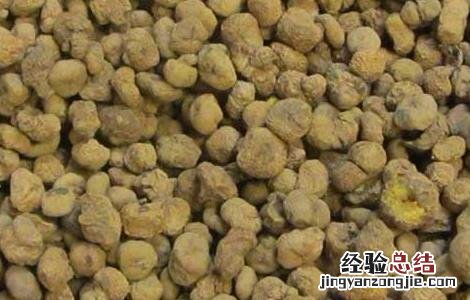 延胡索的炮制方法