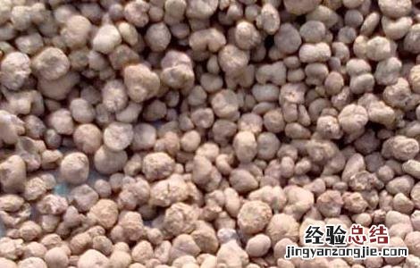 延胡索的炮制方法