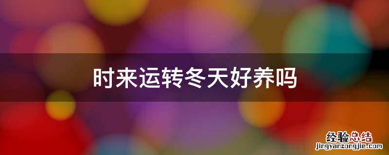 时来运转冬天好养吗 时来运转冬天怎么养