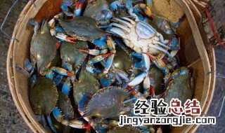 豆瓣蒸蟹怎么做 豆瓣酱蒸蟹