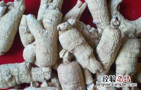 西洋参的副作用以及不适宜人群 西洋参的副作用