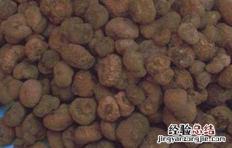 醋延胡索的功效与作用