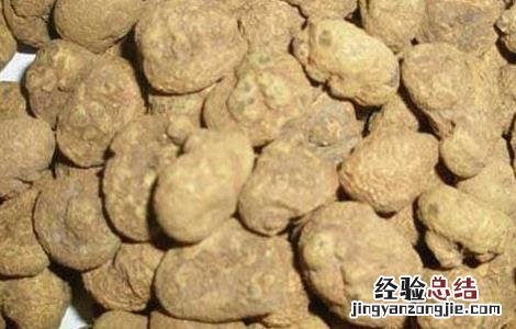 醋延胡索的功效与作用