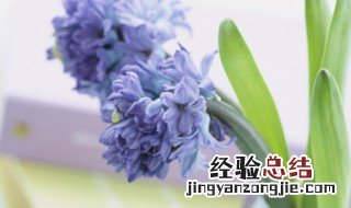 形容天气好的句子 这些句子适合摘抄下来