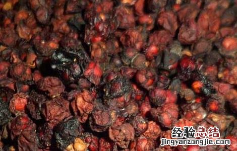 五味子泡酒的功效及做法窍门 五味子泡酒的功效及做法