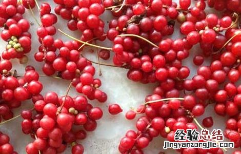 五味子泡酒的功效及做法窍门 五味子泡酒的功效及做法