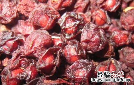五味子能治疗失眠吗 五味子治疗失眠吗和脑灵素一一样吗