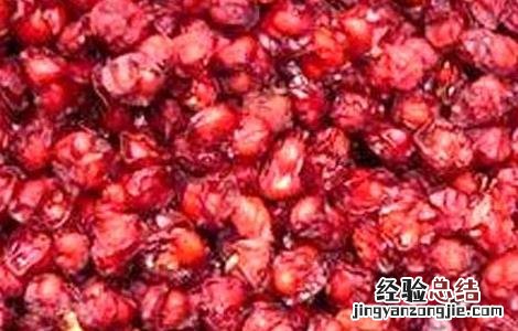 泡五味子水喝有什么功效 五味子泡水喝的功效与泡法