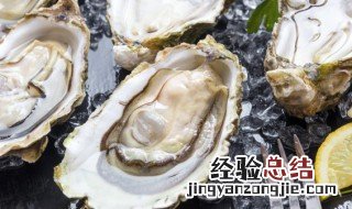 生蚝要蒸多长时间最好 带壳生蚝要蒸多长时间最好