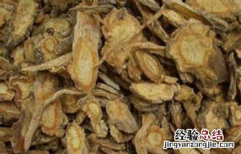 川防风的功效与作用 川防风和防风