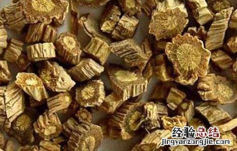 川防风的功效与作用 川防风和防风
