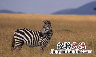 很现实的一句话致自己 致自己非常现实的一句话