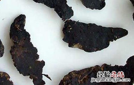 生地黄的功效与作用图片 生地黄的功效与作用