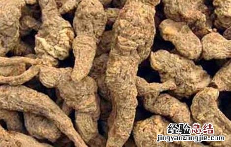 生地黄的功效与作用图片 生地黄的功效与作用