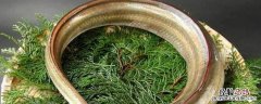 鳗鱼怎么保存才能保鲜 鳗鱼保鲜方法