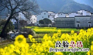 江西婺源怎么读拼音 新闻 江西婺源怎么读拼音