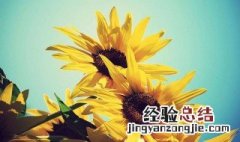 一句话自我评价经典名人 一句话自我评价经典